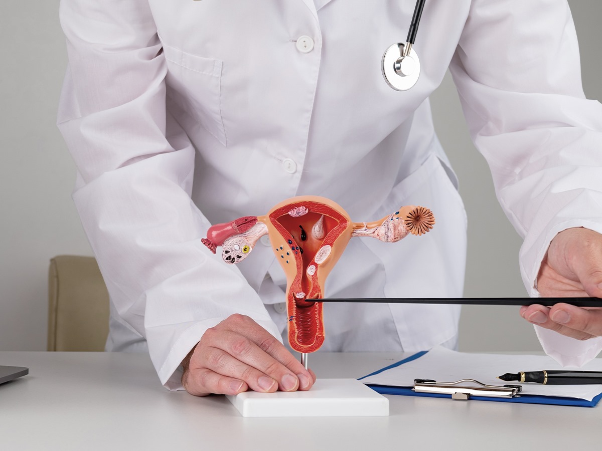Common Urological Conditions and Their Treatments